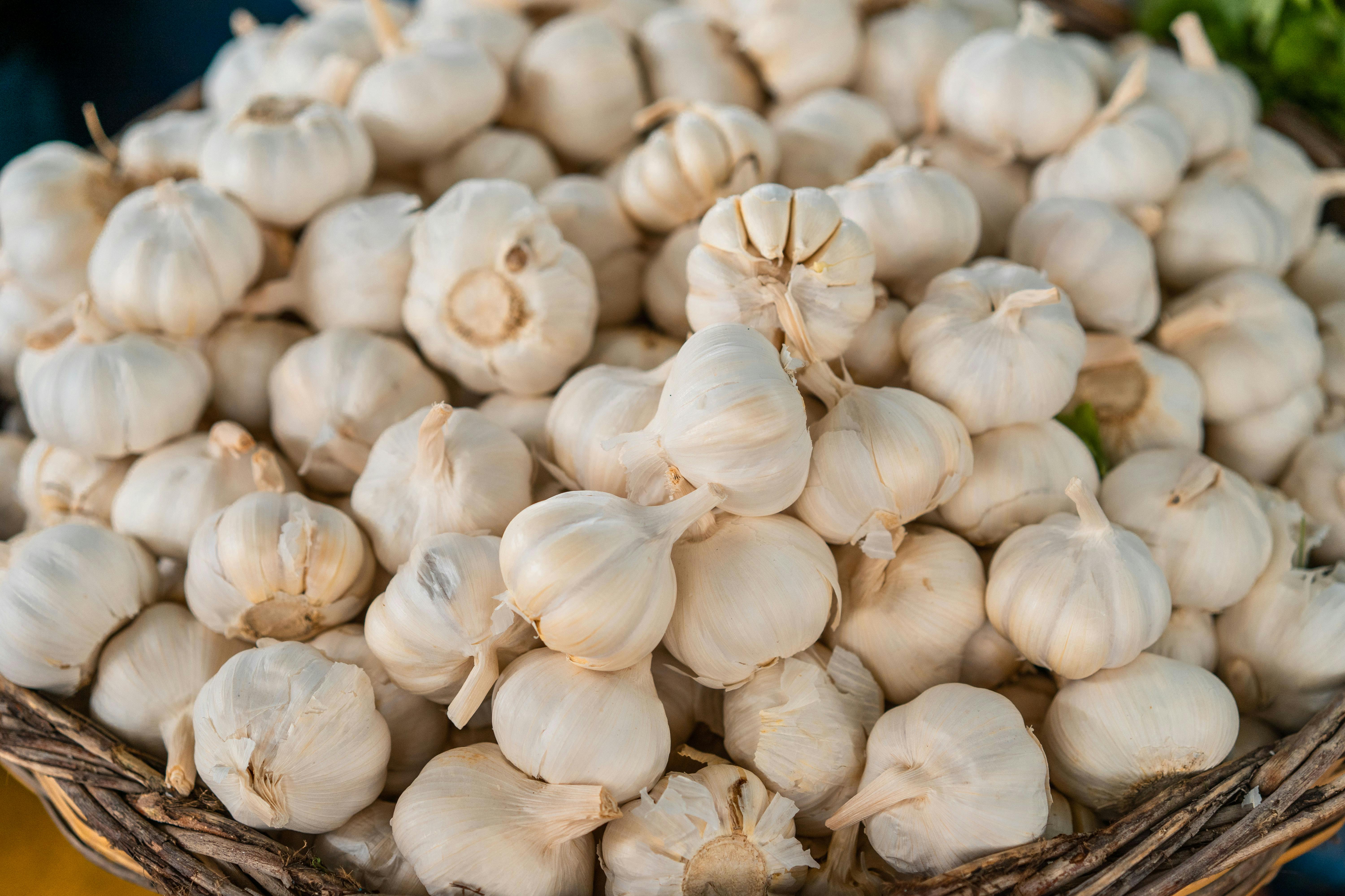 Garlic Image